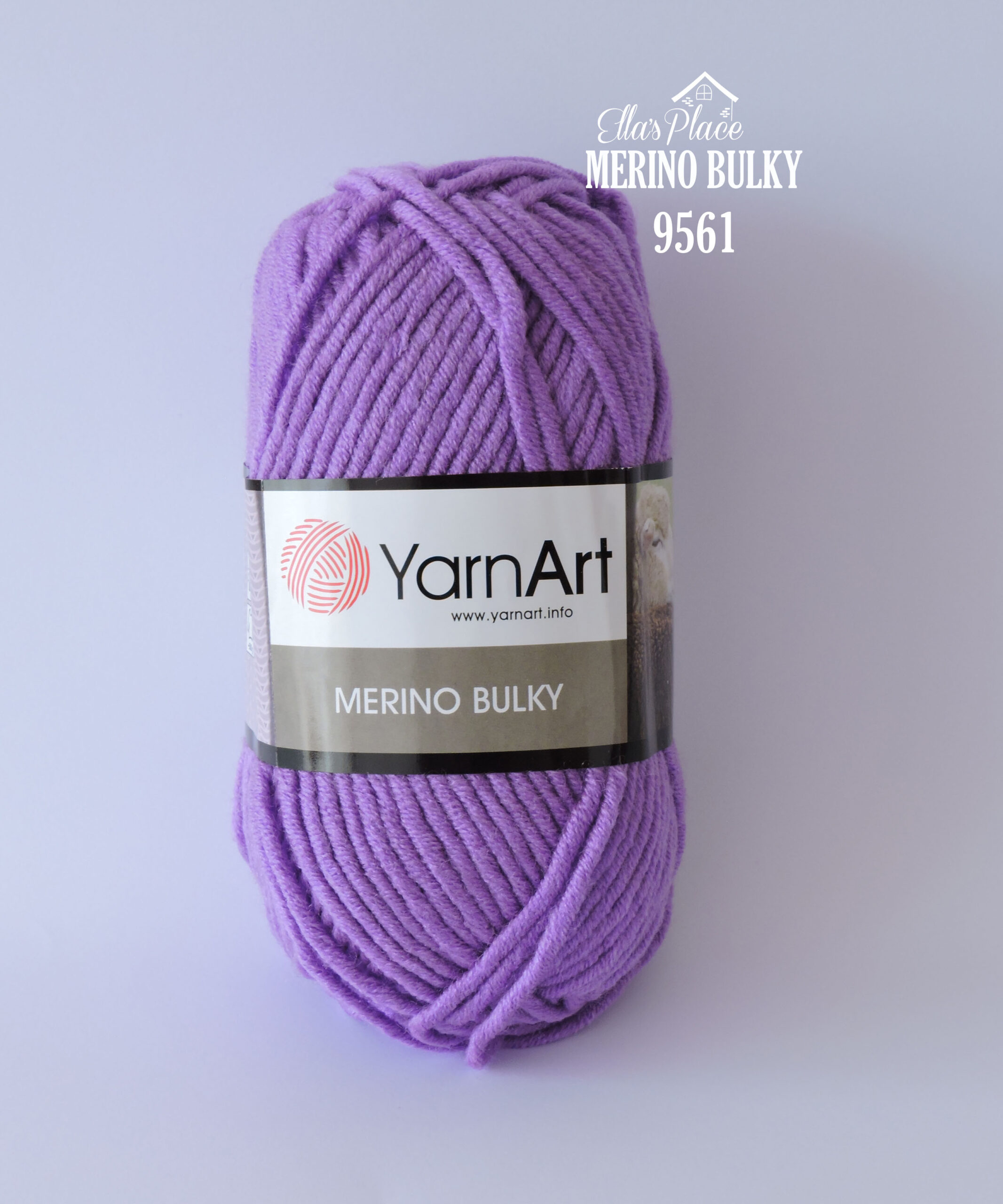 Discovery Northeast Be excited Fir de tricotat Merino Bulky, cod 9561 - Ella's Place
